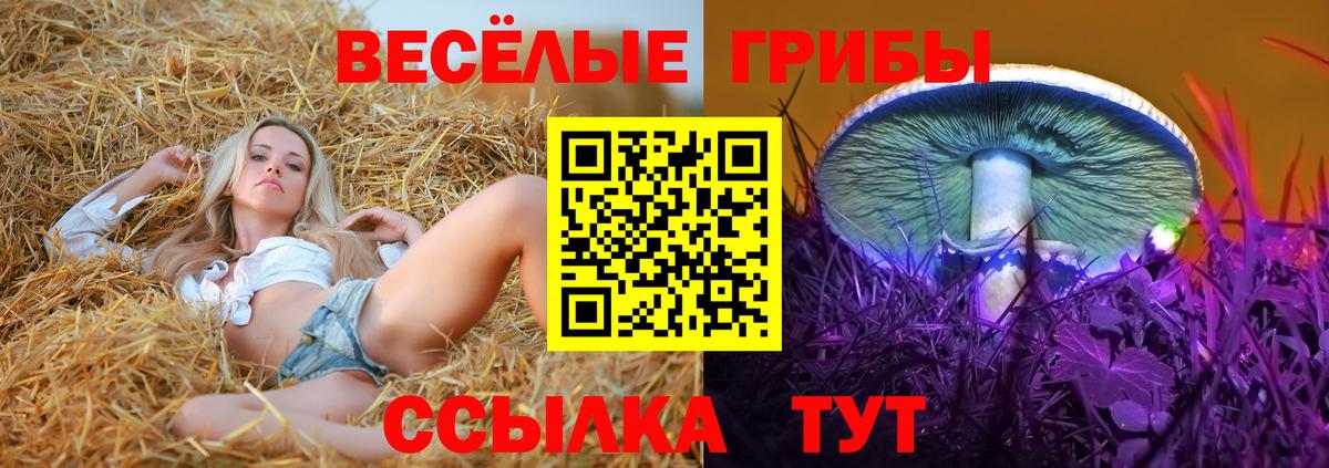 Псилоцибиновые грибы GOLDEN TEACHER  Вход с VPN  Псилоцибиновые грибы ЛСД  Бузулук 